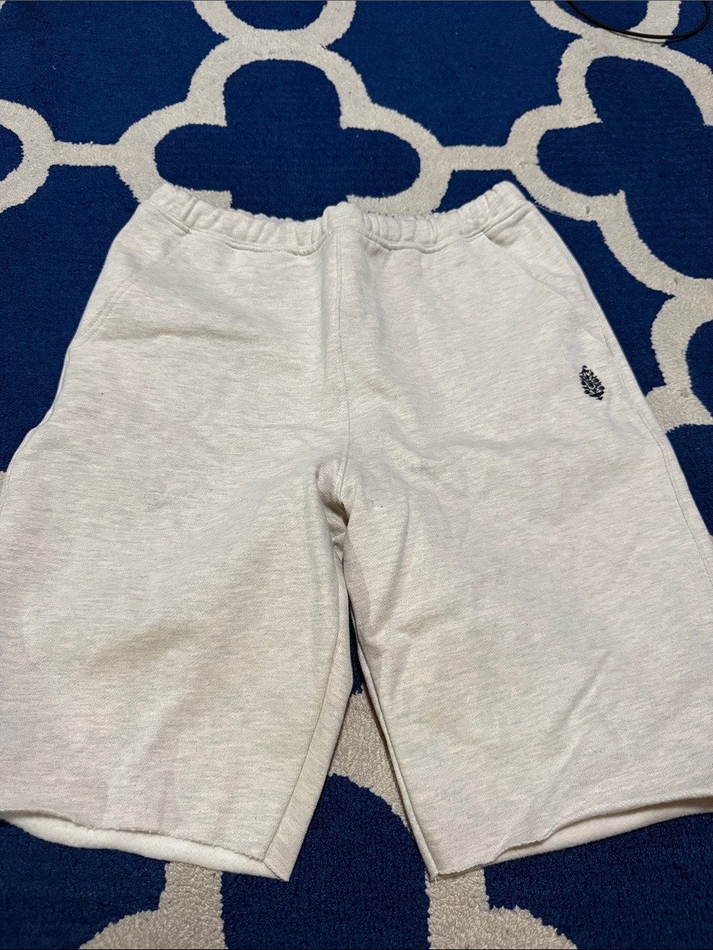 9205. Free People For The Win Long Shorts - Picture 3 of 5